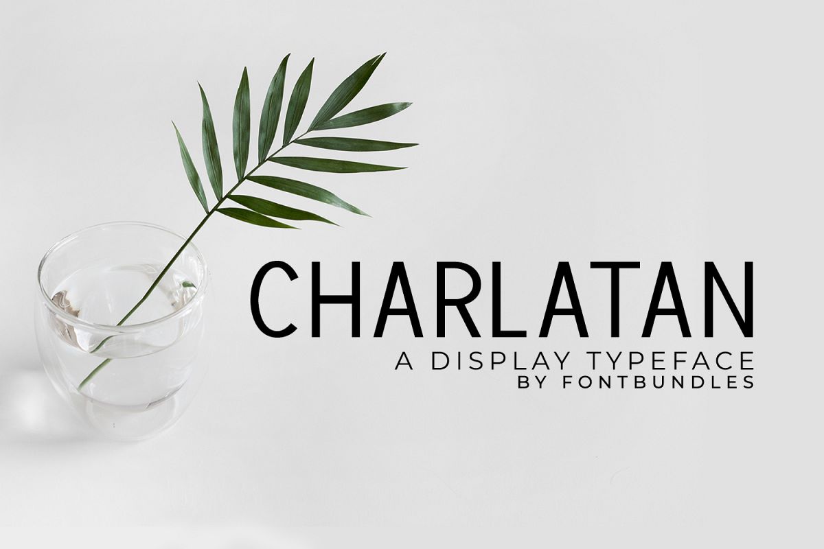 Charlatan example image 1