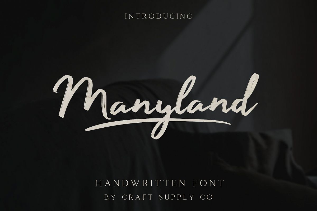 Manyland - Handwritten Font example image 1