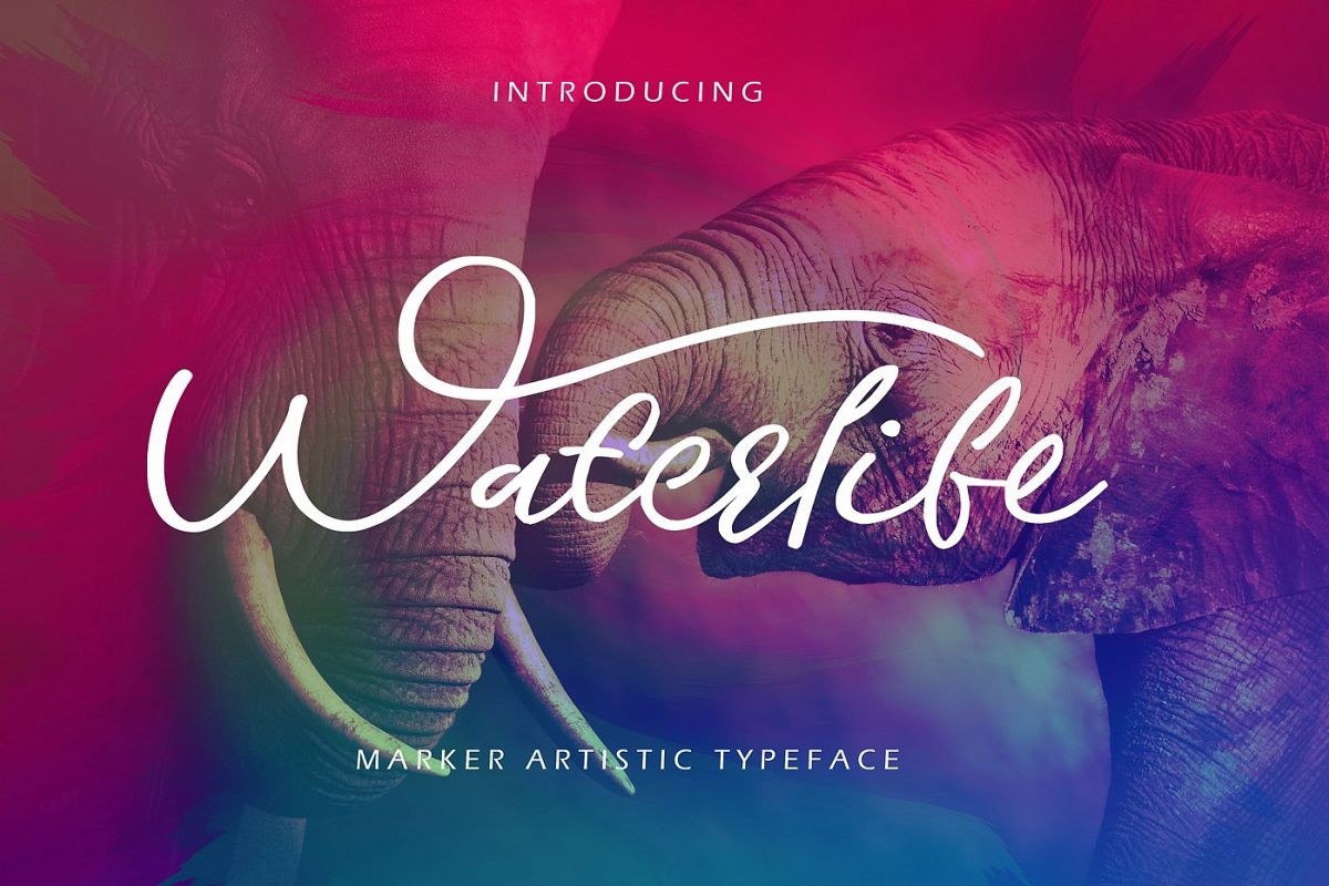 Waterlife Script Font example image 1