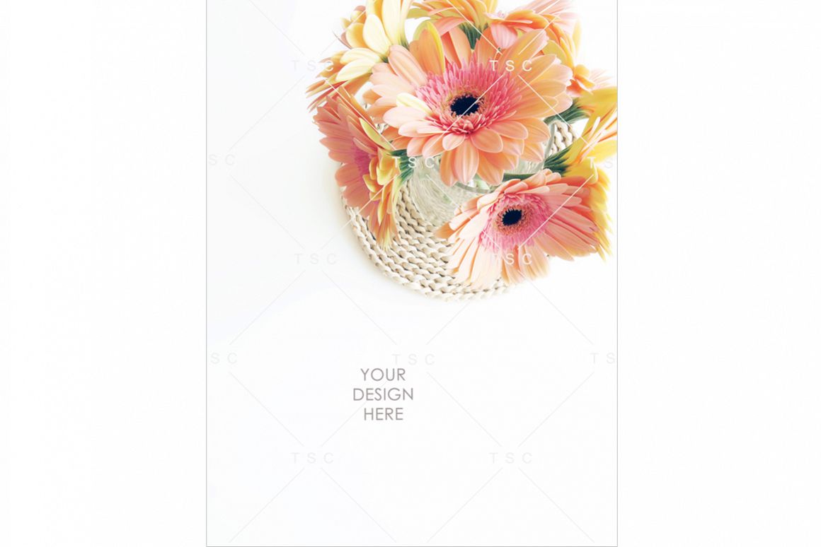 Portrait-mode Daisy Flowers Stock Photo example image 1