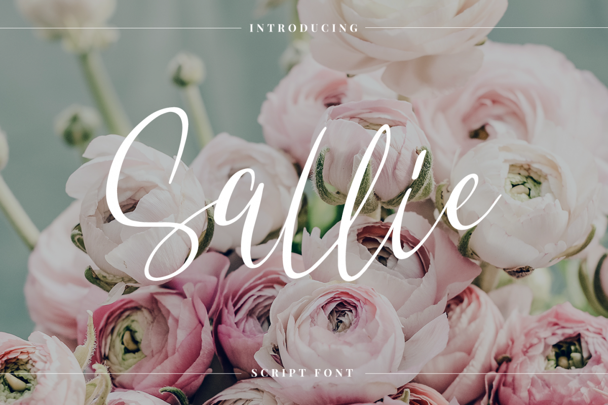 Sallie example image 1
