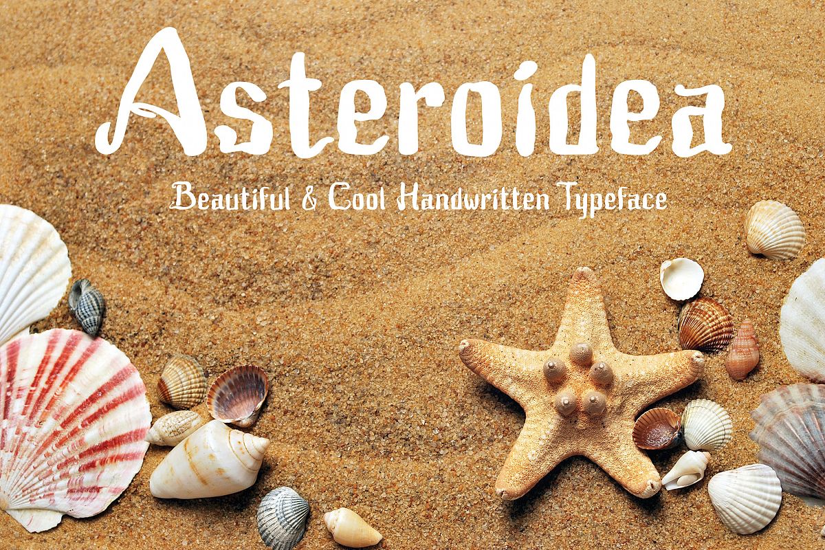 Asteroidea example image 1