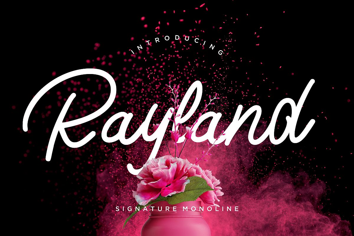 Rayland Signature Monoline example image 1