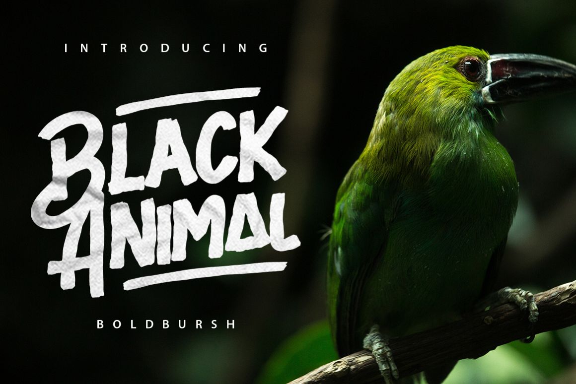 Black Animal example image 1