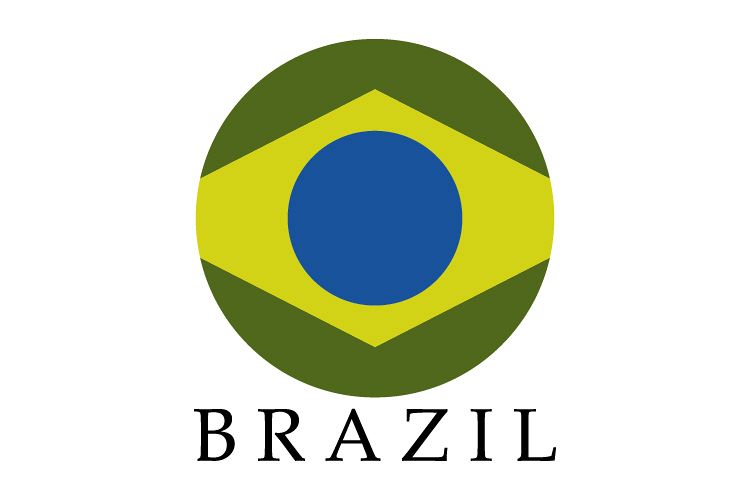 Brazil flag example image 1