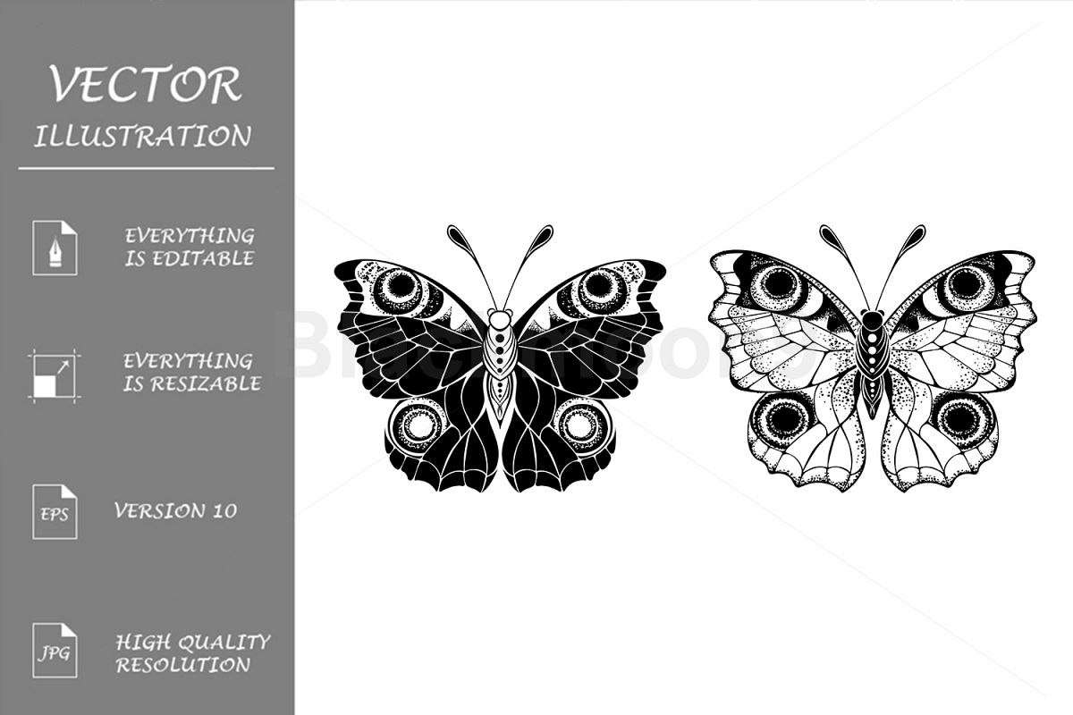 Two Butterflies Peacock example image 1