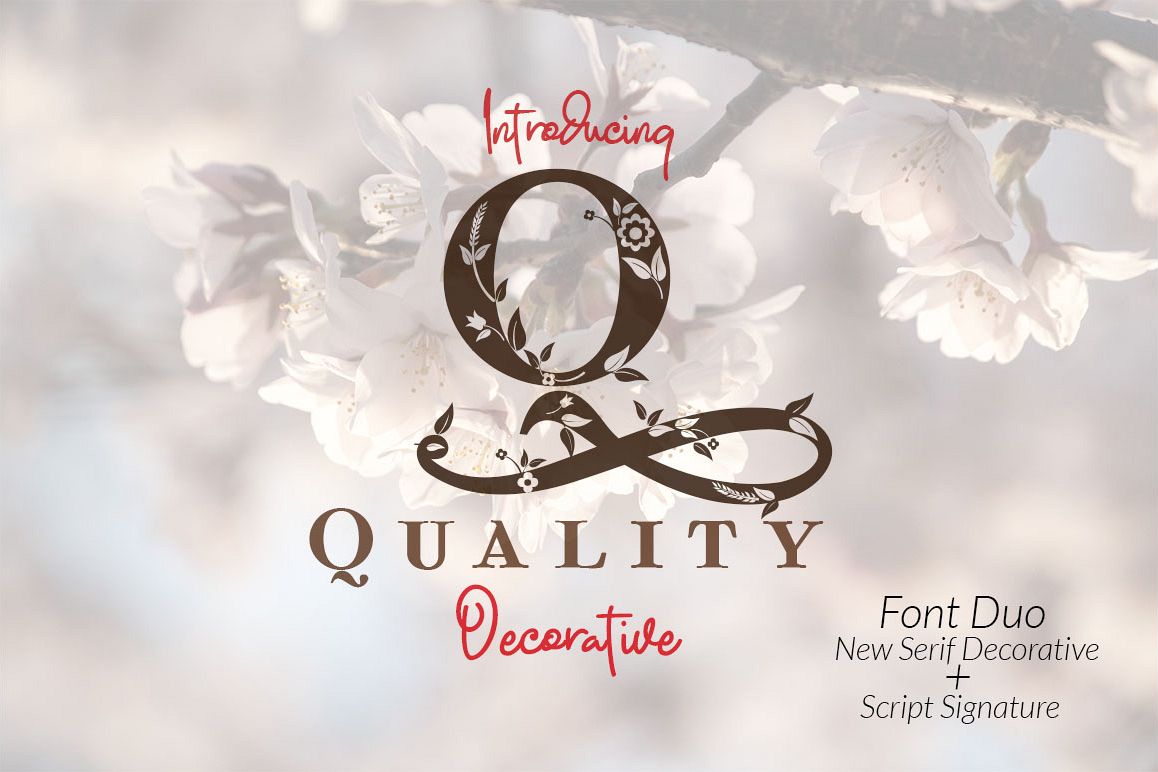Quality Decorative Font Duo example image 1