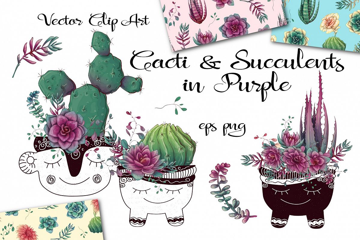 Cacti & Succulents in purple example image 1