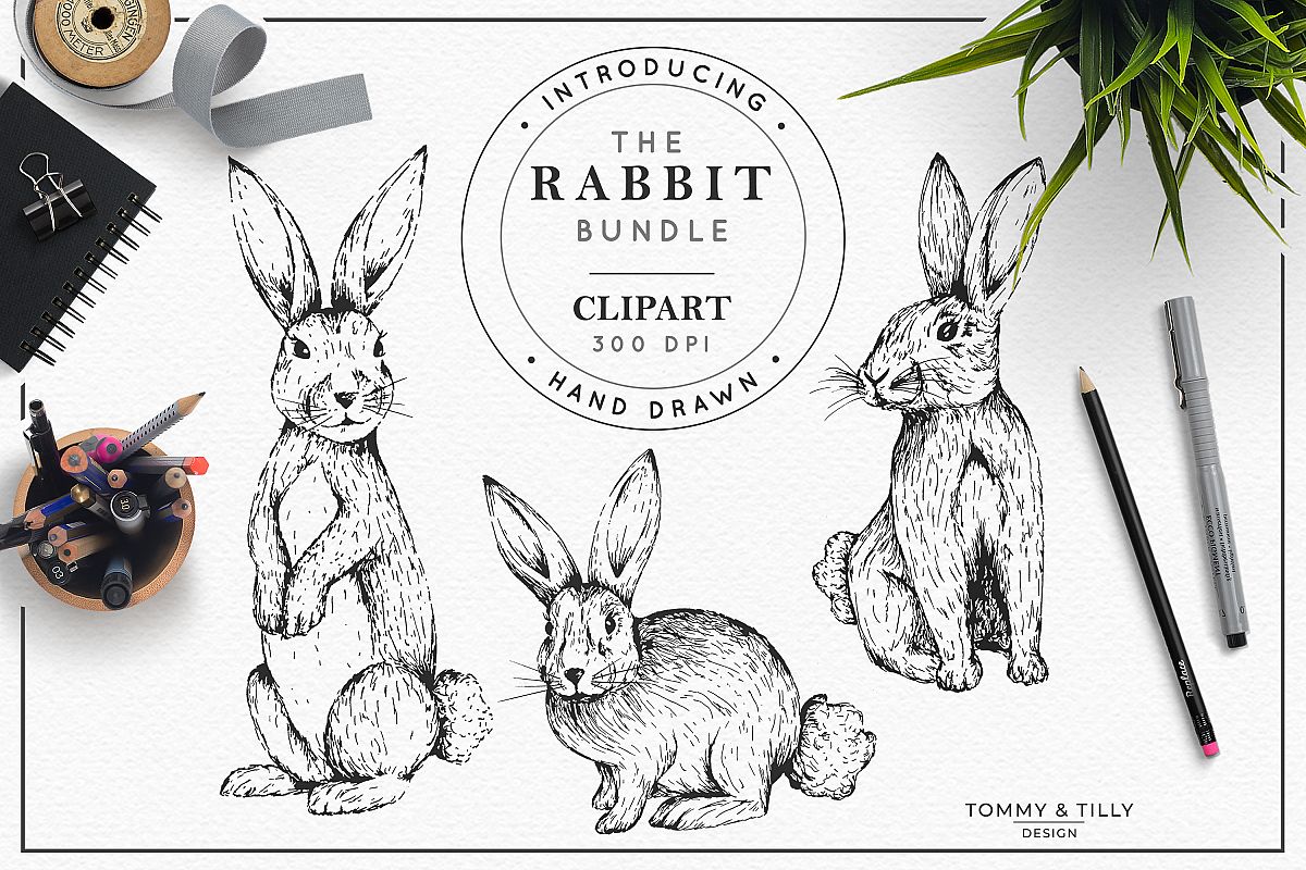 Hand Drawn Rabbit Bundle | High Quality Clipart | Png | example image 1