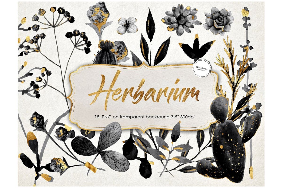 Herbarium Clipart example image 1