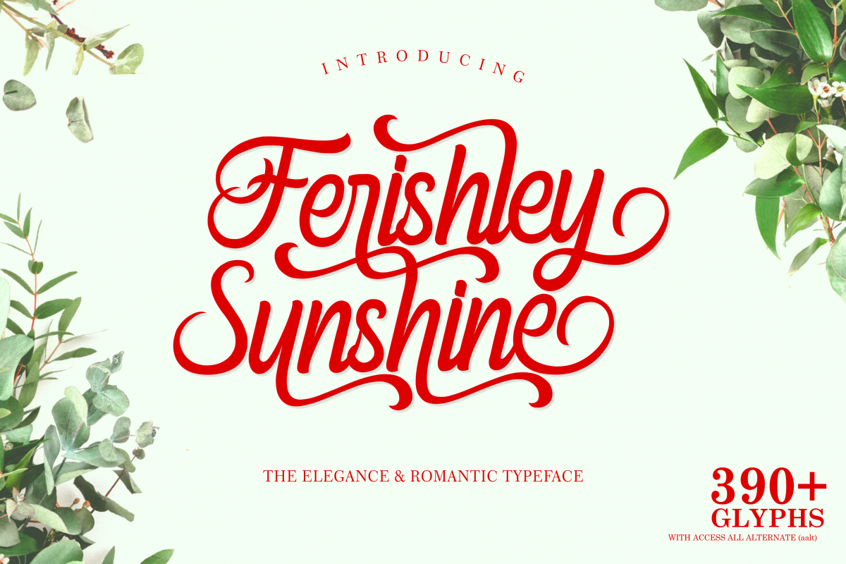 Ferishley Sunshine example image 1