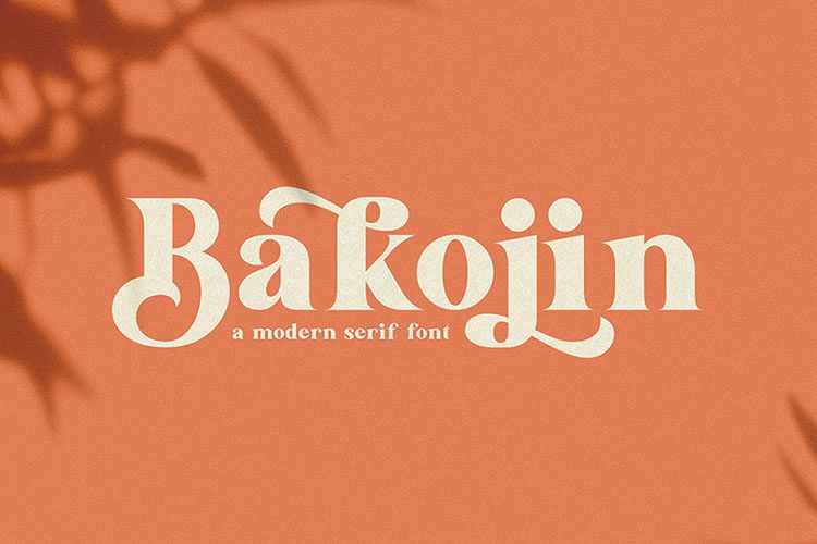 Bakojin//Modern Serif Font example image 1