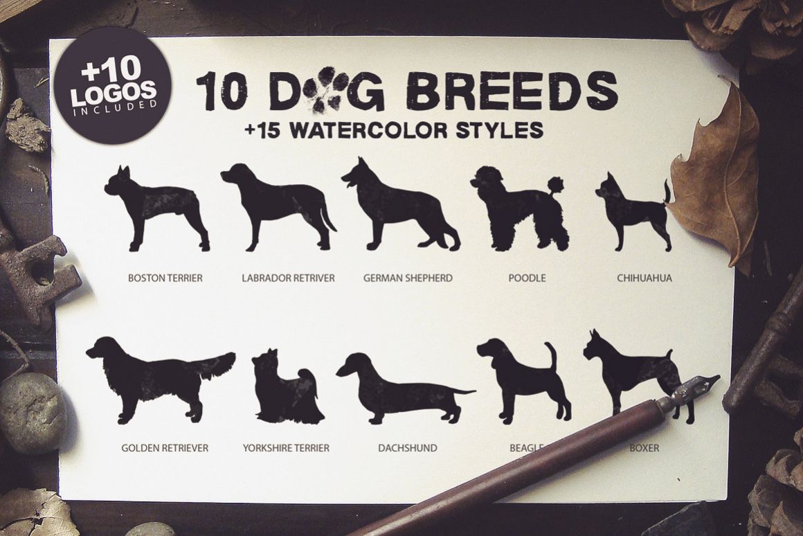 10 Dog Breeds + Extras example image 1