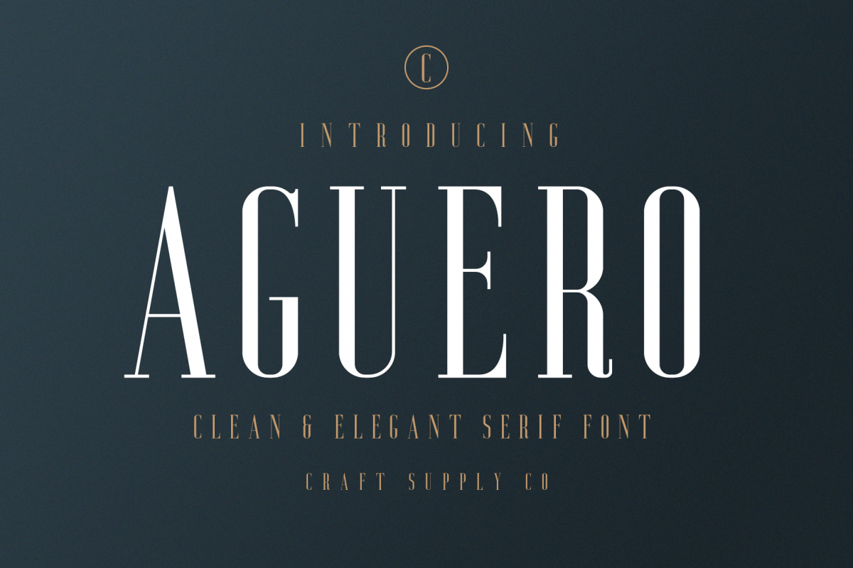 Aguero Serif - Clean & Elegant Font example image 1