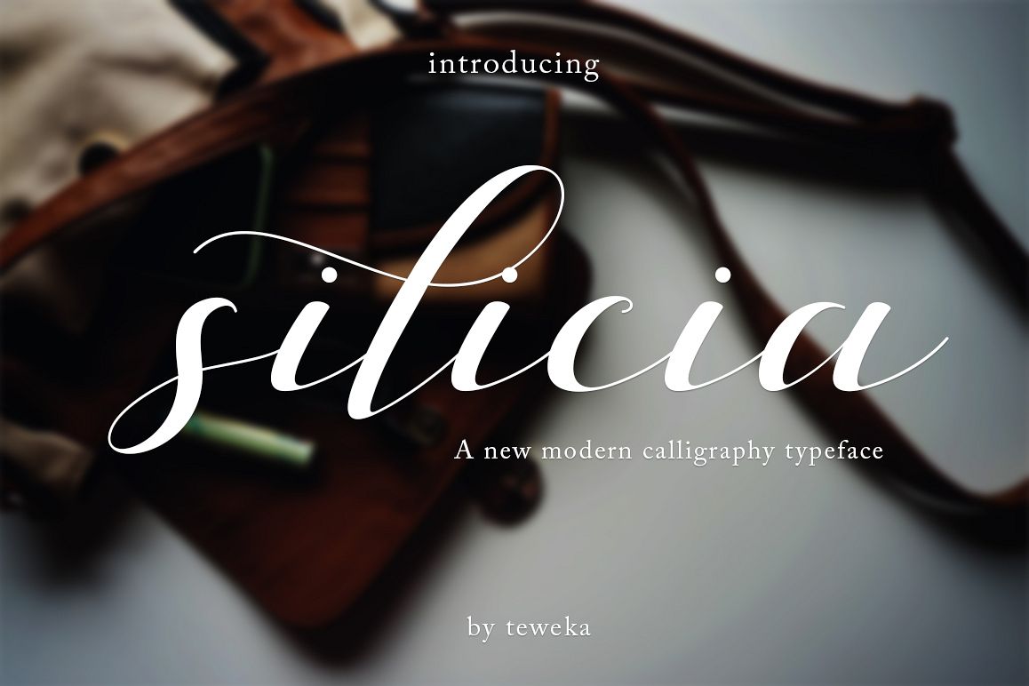 silicia script example image 1