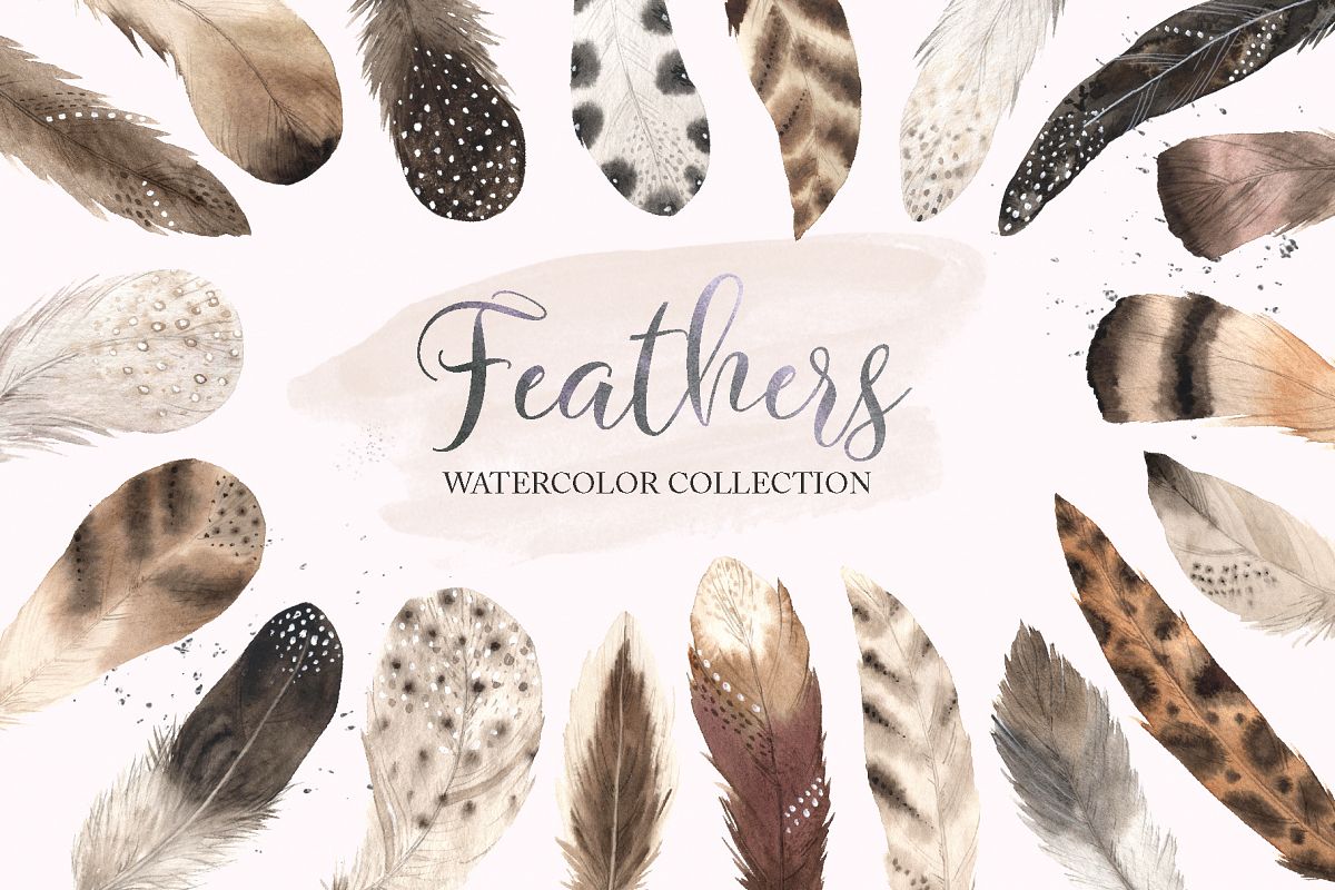 Watercolor Delicate Feathers Set example image 1