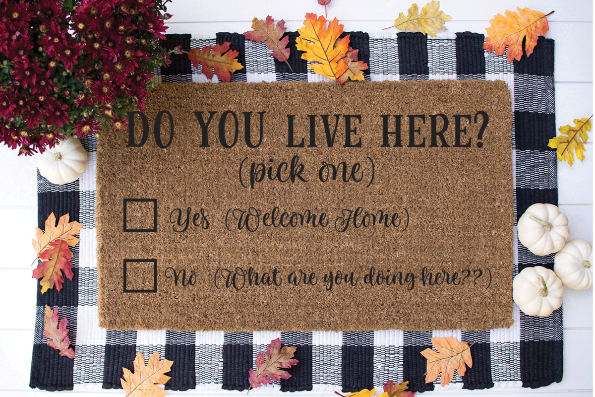 Funny Doormat SVG - Do You Live Here? example image 1