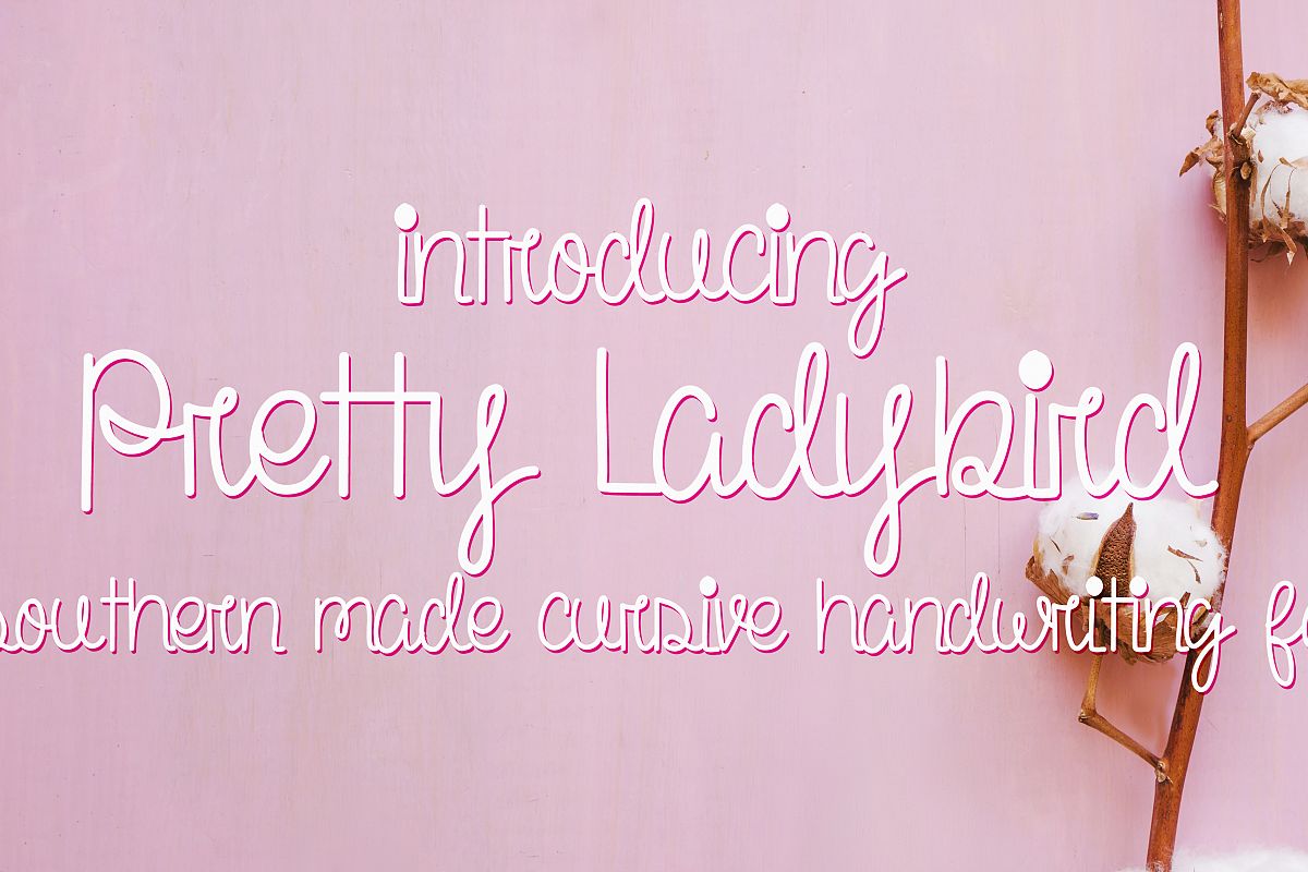 Pretty Ladybird example image 1