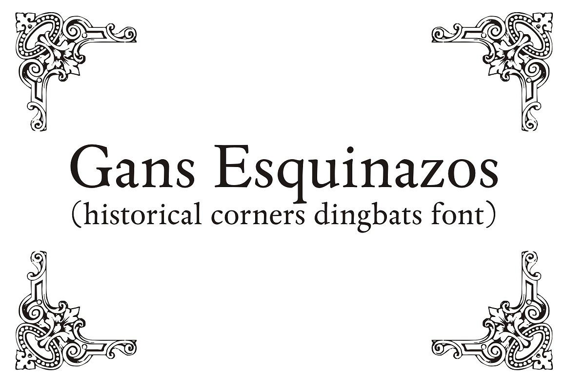 Gans Esquinazos example image 1