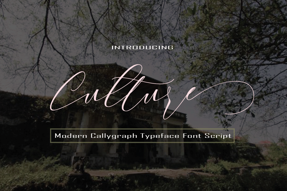 Culture example image 1