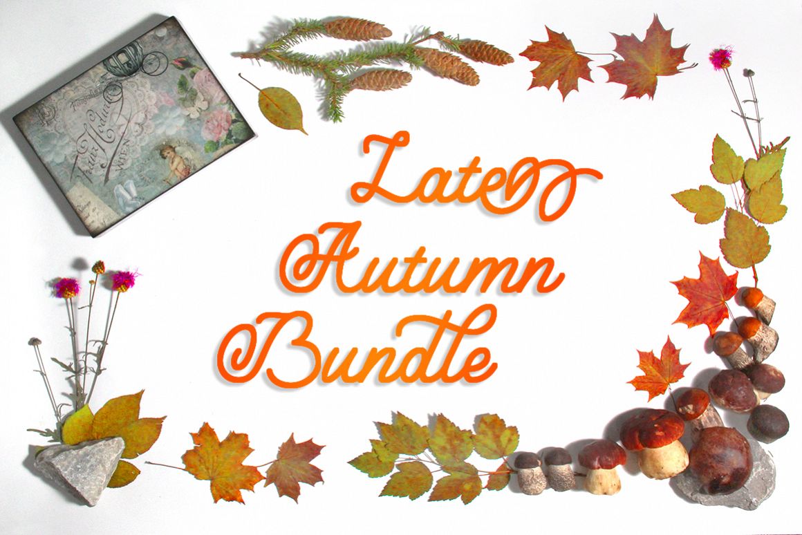 Late Autumn bundle example image 1