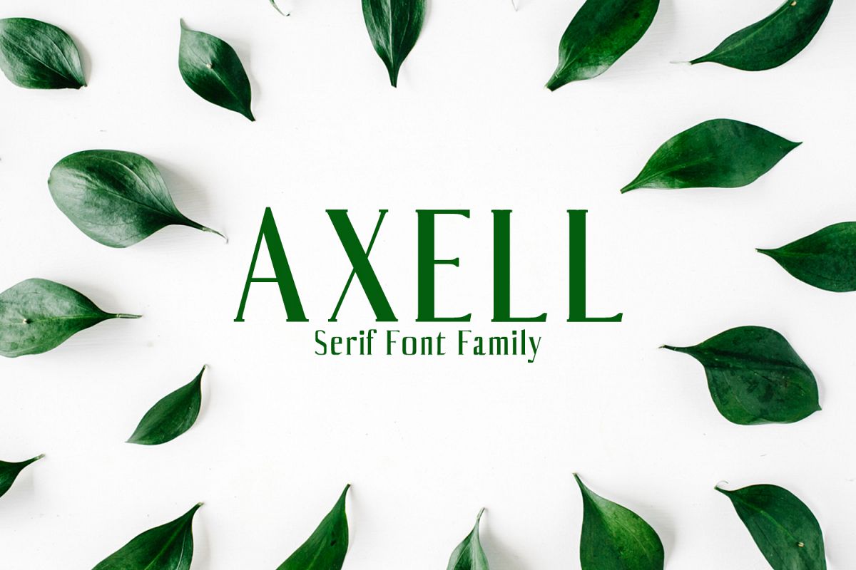 Axell Serif Font Family example image 1
