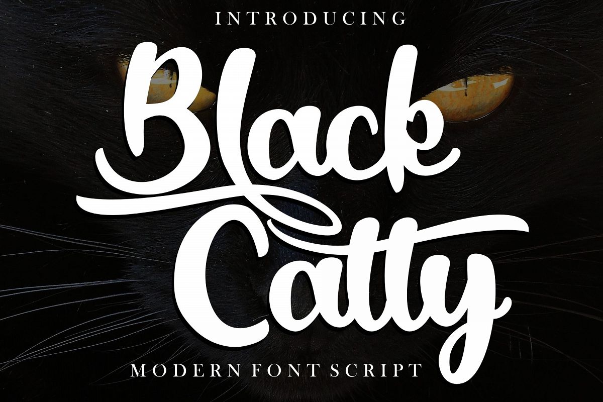 Black Catty script example image 1
