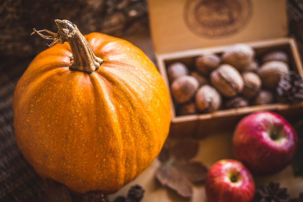 Closeup of a Pumpkin example image 1