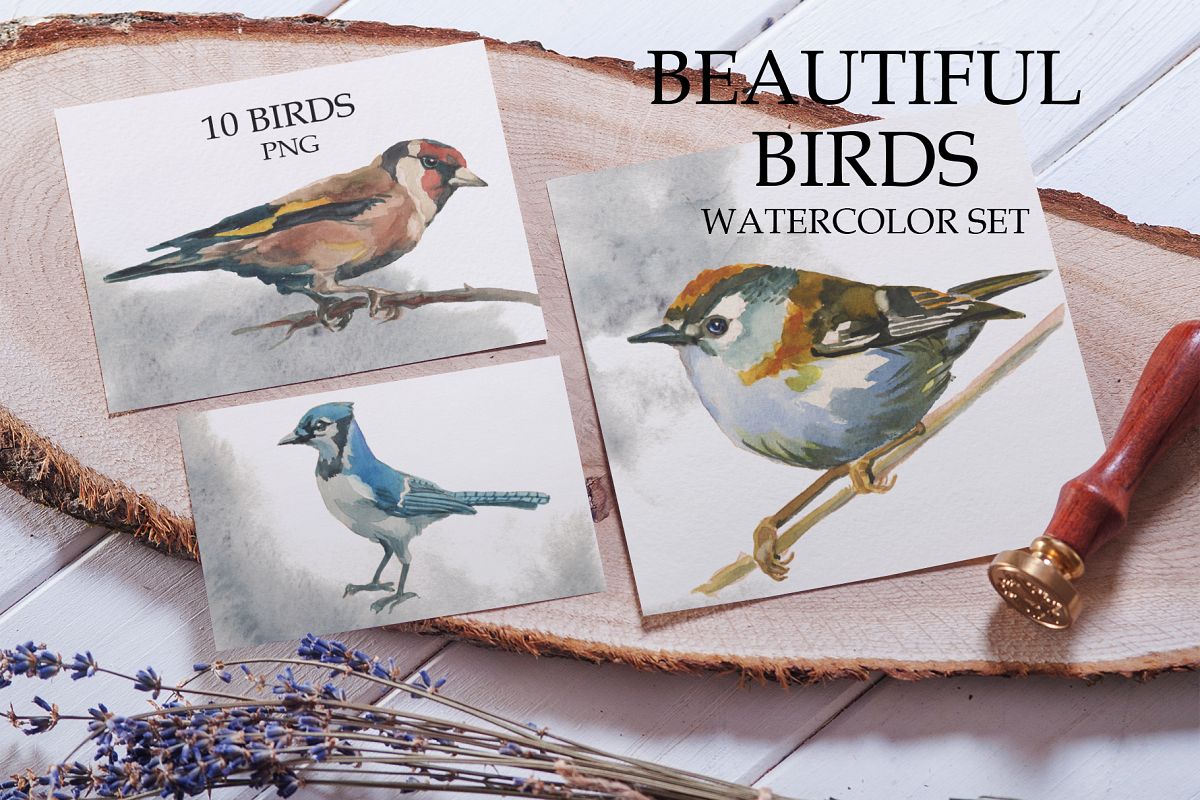 Beautiful birds example image 1