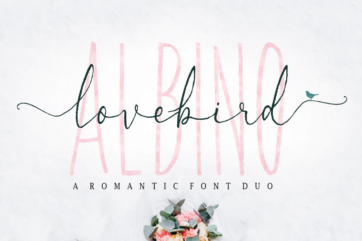 Albino Lovebird - Font Duo example image 1
