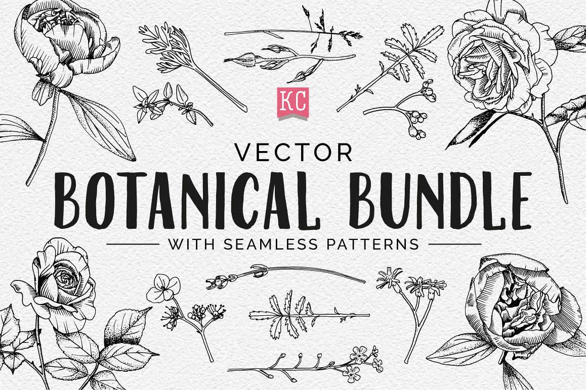 Vector Botanical Bundle Illustrations example image 1