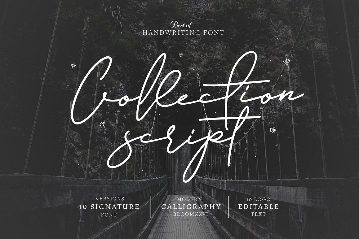 10 Font Script Collection + doodlee art example image 1