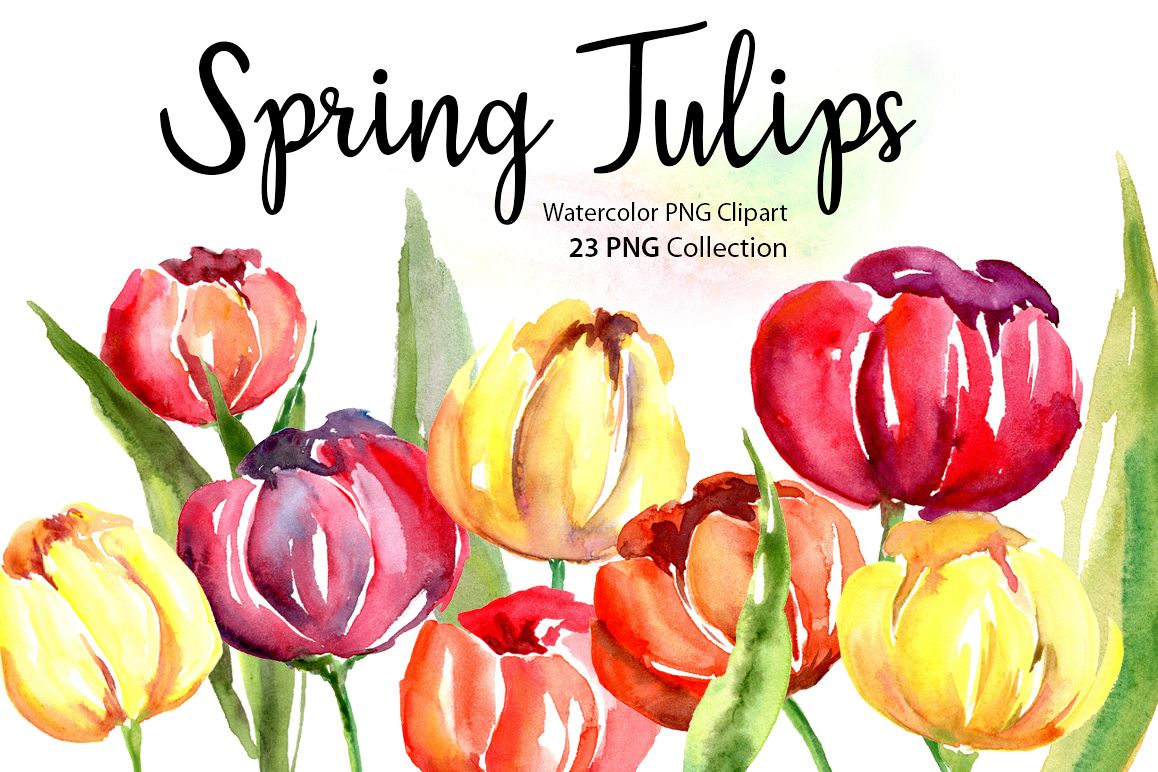 Watercolor Spring Tulips PNG Flowers example image 1