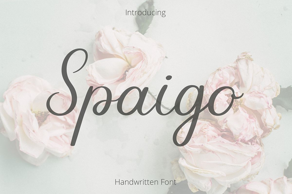 Spaigo. Handwritten script font example image 1