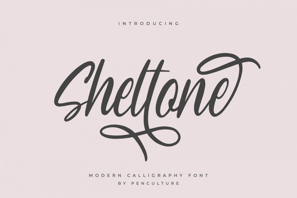 Sheltone - Modern Calligraphy Font example image 1