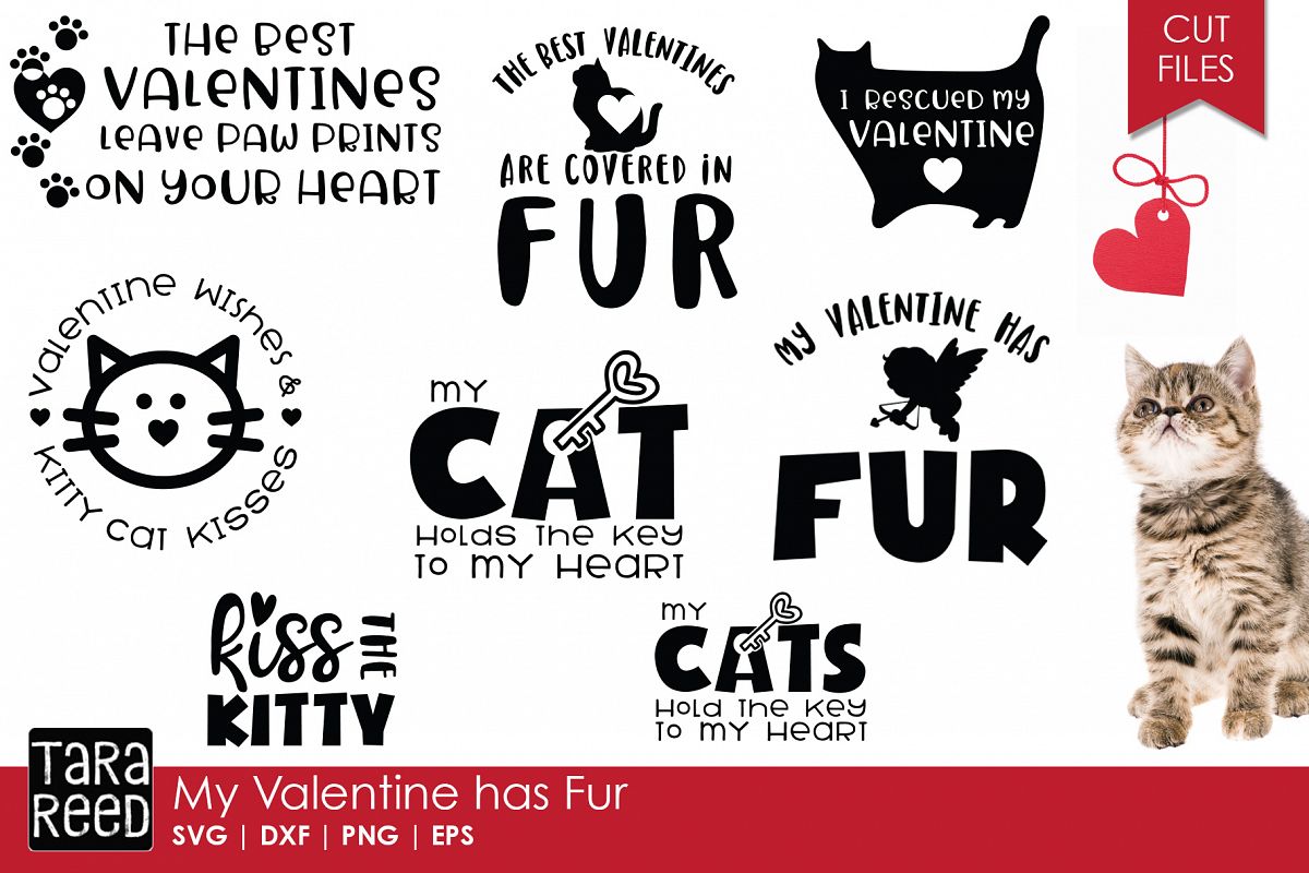 My Valentine has Fur - Valentine's Day SVG Files example image 1