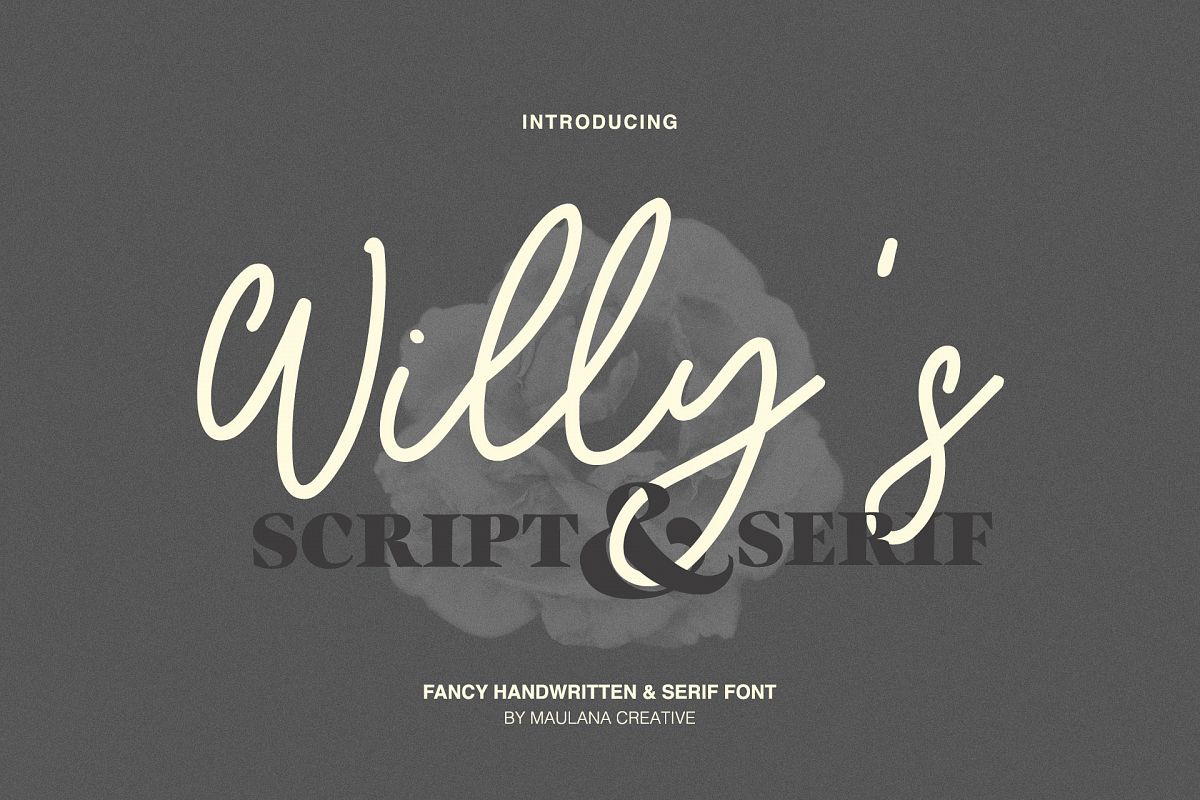 Willys Script Serif Font example image 1