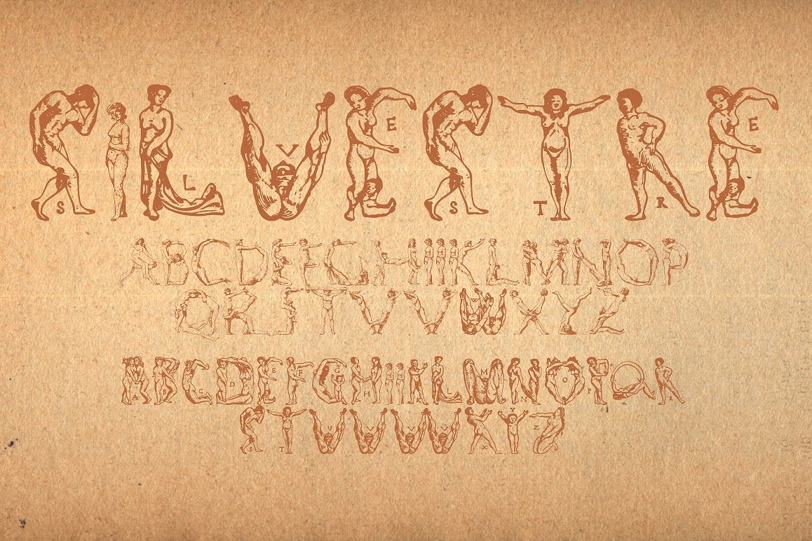 Silvestre Weygel example image 1