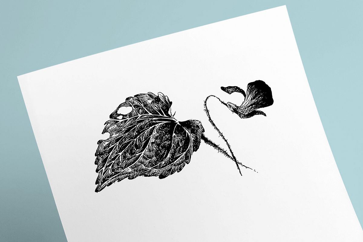 Flower Violet Sketch example image 1