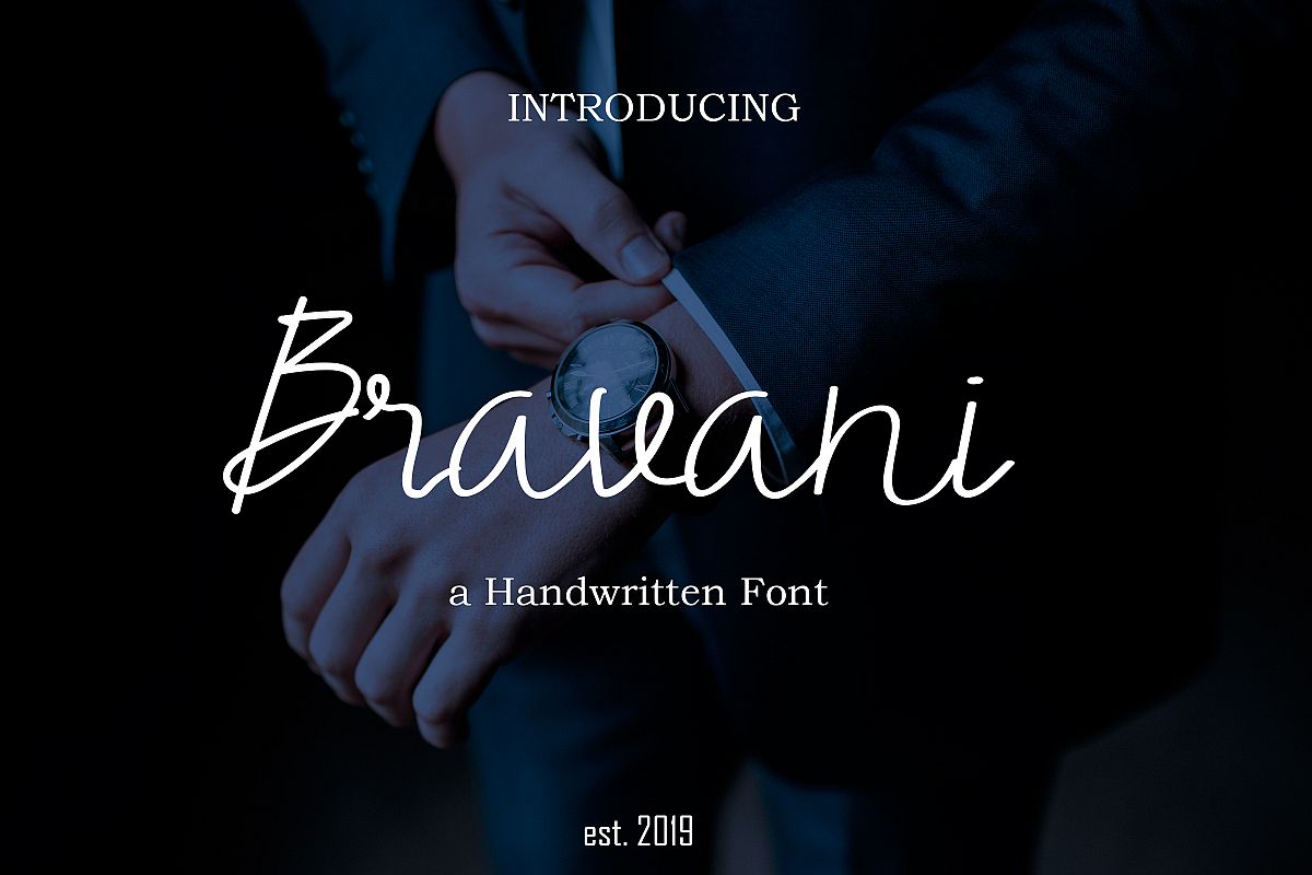 Bravani Font example image 1