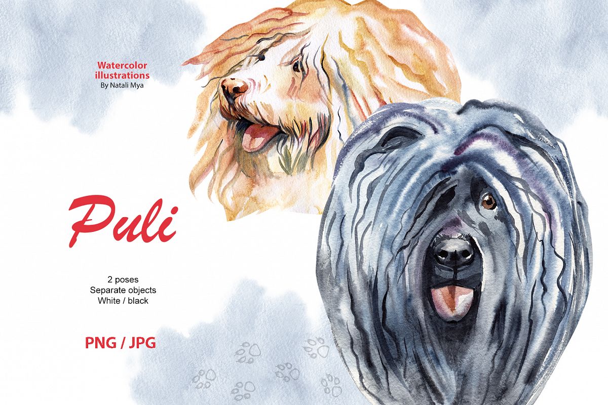 Watercolor dog - Puli example image 1