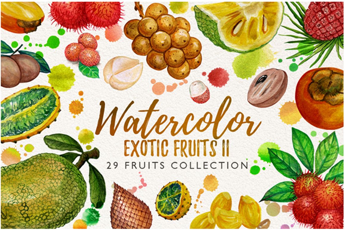 watercolor fruit vol.7 example image 1