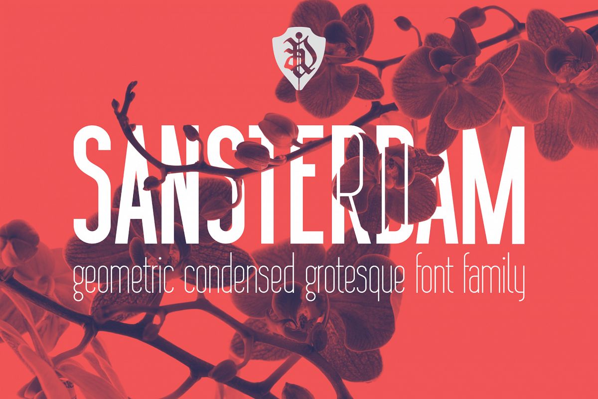 Sansterdam Bold and Thin example image 1