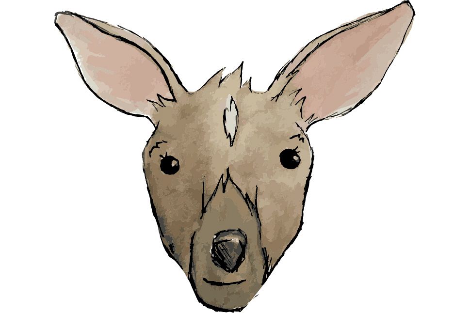 Woodland creatures2 example image 1