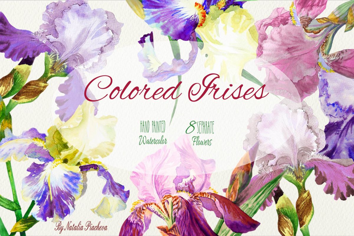 Colored Irises example image 1