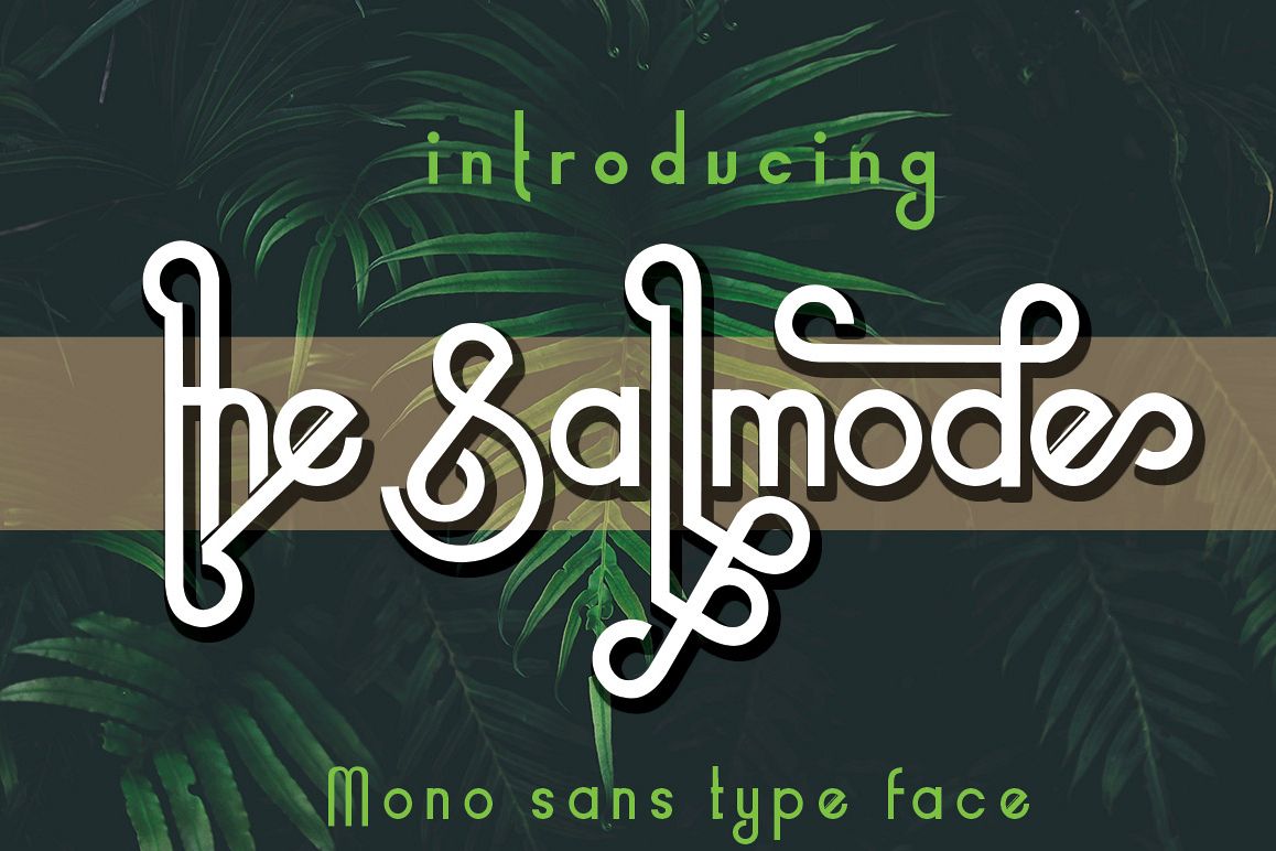 the Sallmode example image 1