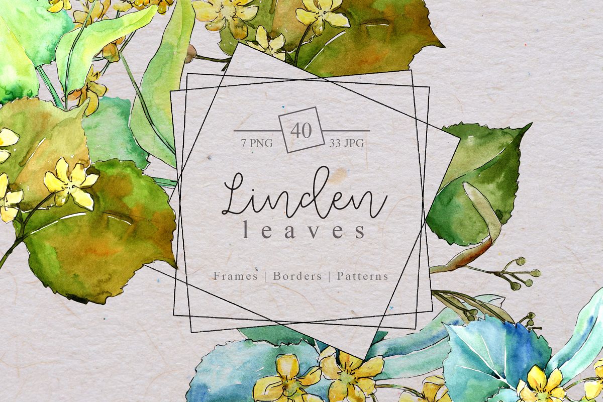 Watercolor linden leaves PNG set example image 1