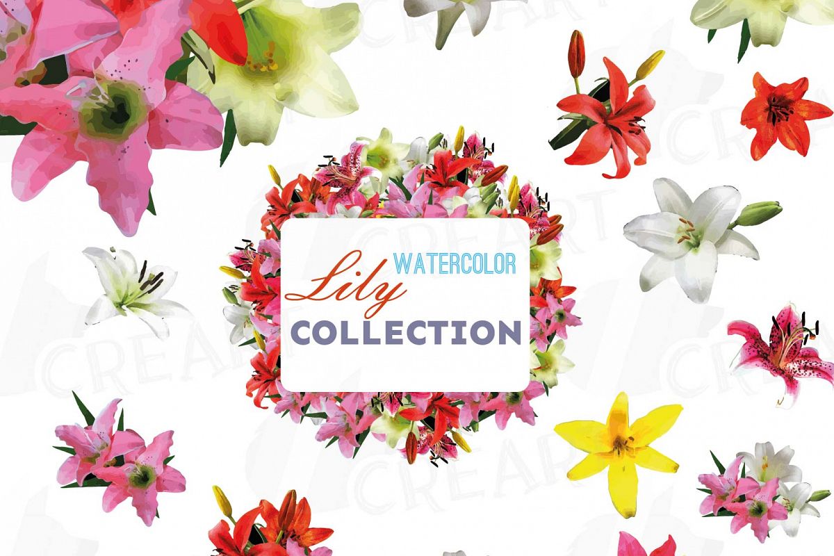 Download Lily watercolor clip art pack, colorful lily flowers, lily bouquet clipart. PNG, jpg, svg ...