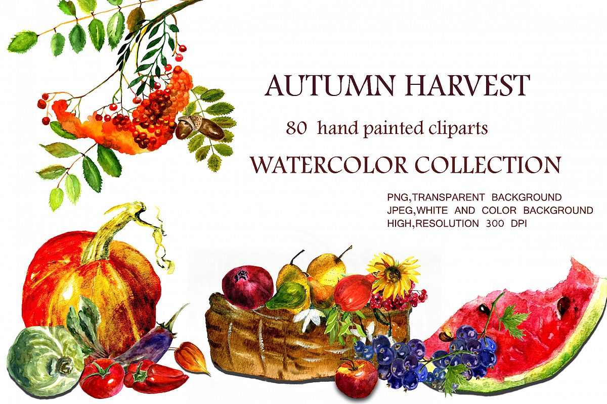 Watercolor collection Autumn Harvest example image 1