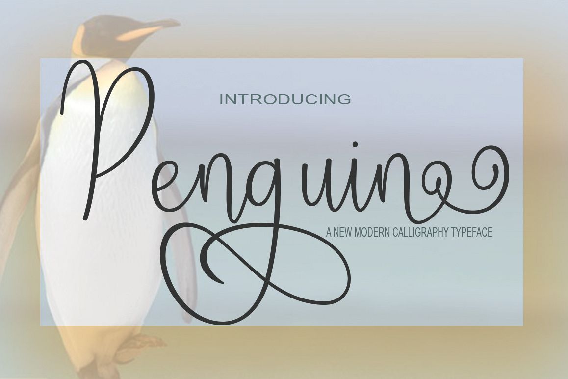 Penguin Script example image 1